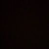 luzia_coster